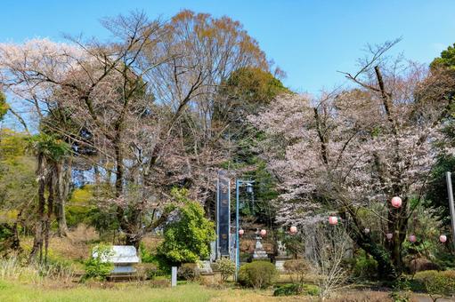 小山市でおすすめの新築建売ハウスメーカー3選｜栃木のマイホーム